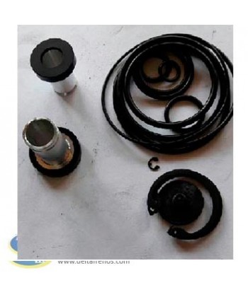 Reparación Bomba de Freno
